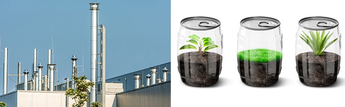 chimneys and plants in containers