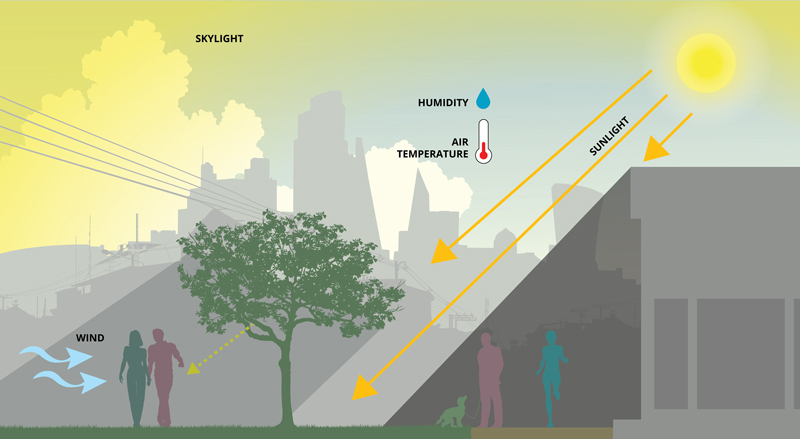 Diagram showing the impact of sunlight, humidity, temperature, and wind on microclimate and pedestrian thermal comfort in urban outdoor public spaces